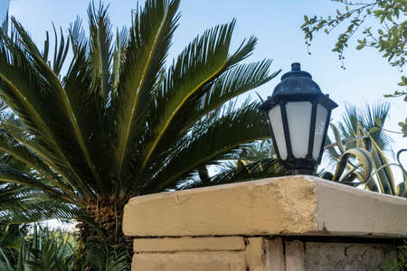 The lamp in the form of an old lantern is installed on a concrete fence. Carved palm leaves on a blue sky background. Egyptの写真素材