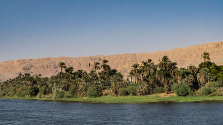 Green grass and tall palm trees grow on the banks of the Nile. Sand dunes against the azure sky....