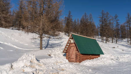 A small log cabin with a green roof stands among the snowdrifts on the hillside. Coniferous forest...