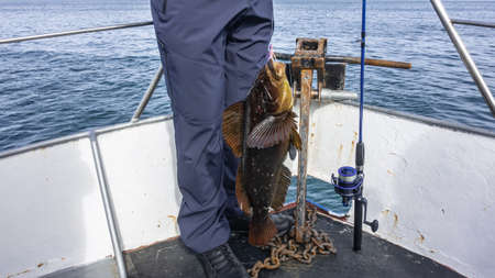 A man stands on the metal deck of a boat, holding a newly caught sea bass on a fishing line. The...