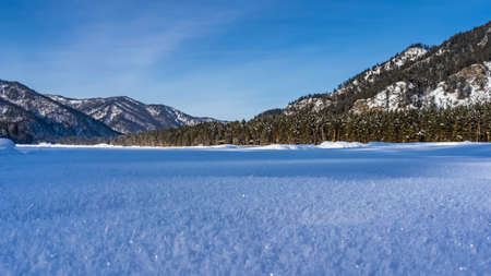The snow-covered valley is surrounded by wooded mountains. Fluffy frost on the surface. clear blue sky. Altai in winter.の写真素材