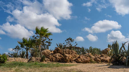 Details of the landscape design of the park. Picturesque sandstone boulders lie on dry land, a stone fence is visible. Succulents and palm trees against a background of blue sky and clouds. Egypt.の写真素材