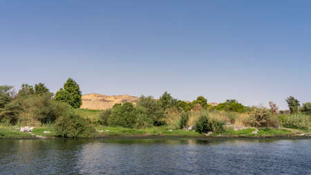 There is green vegetation on the river bank: bushes, palm trees, grass. A sand dune against a clear...