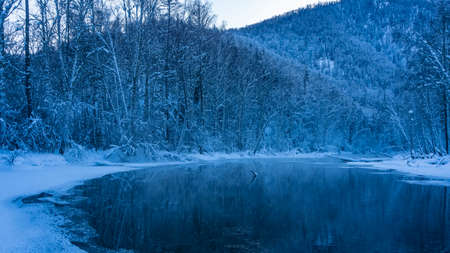 A calm, ice-free river in a winter forest. Snow-covered trees on the banks. mountains against the sky. reflection. Gray and pale blue shades. Altaiの写真素材