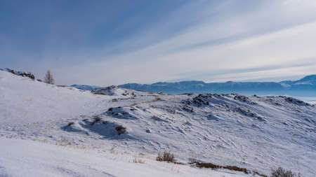 Dry grass and a bare tree are visible on the snow-covered slopes. A mountain range against a blue sky. Altai.の写真素材