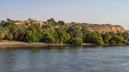 On the riverbank there are lush thickets of green bushes and palm trees. Village houses are visible on a sand dune. clear sky. Ripples and reflections on blue water. Egypt. Nileの写真素材