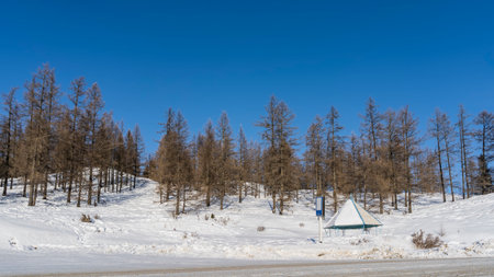 On the side of the winter road, in the snowdrifts, there is a canopy. A layer of snow on the...