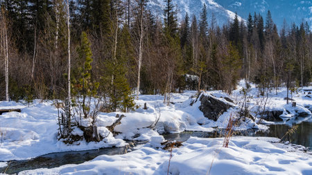 An ice-free stream flows in a winter forest. Trees, dry grass, picturesque boulders in snowdrifts. A...