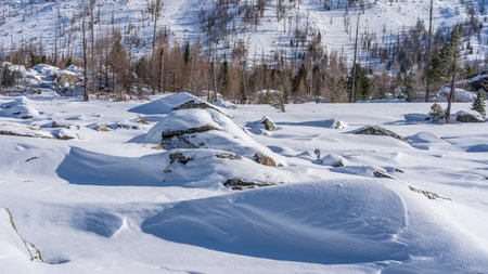 Boulders lie in snowdrifts in the valley. A layer of untouched snow on large rocks. Forest on a mountain slope. Altaiの写真素材