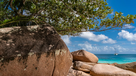 Picturesque granite boulders on the ocean. close-up. The yacht is visible on the turquoise water. A green branch against a background of blue sky and clouds. Seychelles. Praslin.の写真素材