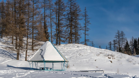 In the valley there is a gazebo with a layer of snow on a pyramidal roof. Bare trees on a hill against a blue sky. Altaiの写真素材
