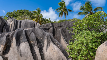 Picturesque rocks with smooth folded slopes. close-up. Background - blue sky, tropical vegetation, palm trees. Seychelles. La Digue Islandの写真素材