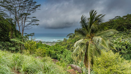 Lush tropical vegetation covers the hills - green grass, bushes, palm trees. The turquoise ocean is visible in the distance. Clouds in the blue sky. Seychelles. Mahe. mission lodgeの写真素材