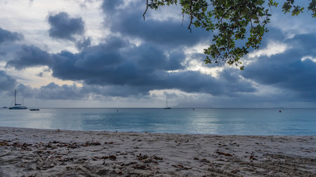 Evening on a tropical island. Blue clouds in the sky. Silhouettes of yachts in the ocean. A green branch hangs over the beach. Fallen leaves are scattered on the sand. Seychelles.の写真素材
