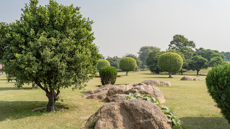 Landscape design of the city park. Bushes and spherical trimmed trees grow on the green lawn. Picturesque boulders, entwined with climbing plants, in the foreground. blue sky.の写真素材