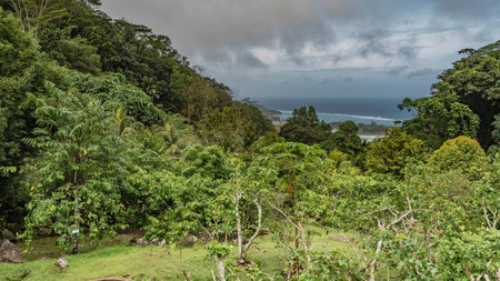 The hillside is overgrown with lush tropical vegetation. The turquoise ocean is visible in the...