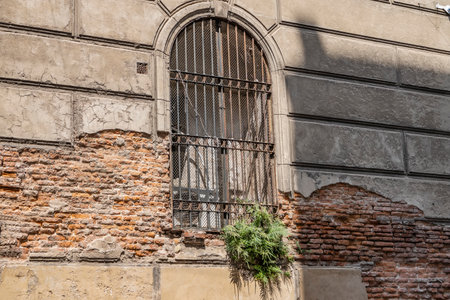 An arched barred window on the wall of an old house. The plaster peeled off, exposing weathered brickwork. Lush green ferns grew in the corner. Argentinaの写真素材