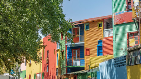 La Boca quarter in Buenos Aires. The facades of houses made of tin and slate are painted in bright colors - red, orange, blue, green. Tree branch in the foregroundの写真素材