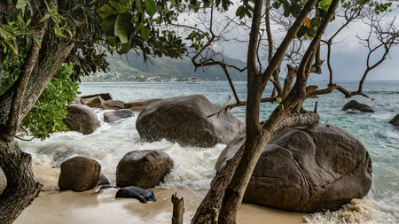 The waves of the turquoise ocean beat against the boulders. Splashes in the air, foam on the sand. The branches of tropical trees bent over the beach. A hill in the distance.の写真素材