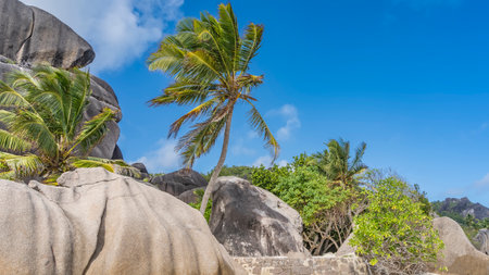 Picturesque granite rocks with smoothed slopes against the blue sky. Tropical vegetation around. Palm leaves are fluttering in the wind. Seychelles. La Digue. Anse Source D'Argentの写真素材