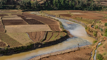 Rice terraces on the river bank. The fields are divided into sections. Tiny silhouettes of people working on plantations are visible. Madagascar.の写真素材