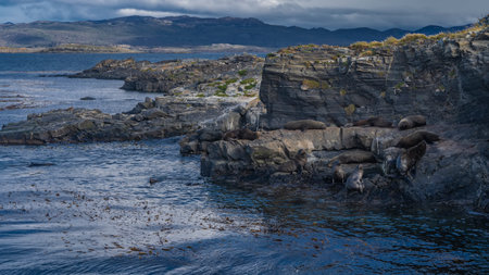 A picturesque rocky island in the Beagle Channel. Sea lions rest on cliffs ledges. Green grass is visible on the stones. Blue water and mountains against a cloudy sky. Argentina. Iの写真素材