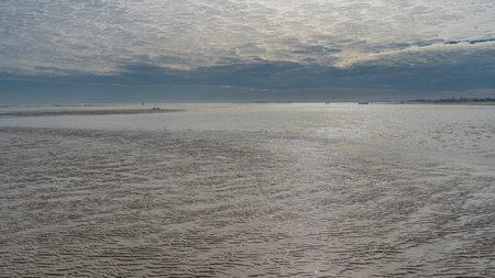 Low tide in the ocean. On the exposed wavy sand, the glare of the sun. Tiny silhouettes of people,...