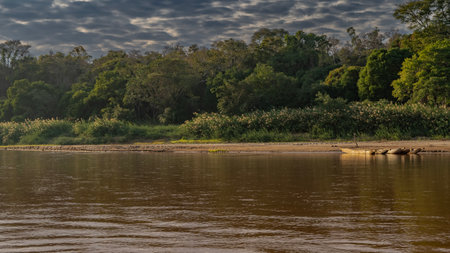 A calm tropical river. Wooden canoe boats are moored near the shore with lush green vegetation. Reflection on the shiny red-brown water. Clouds in the sky. Madagascar. Manamboloの写真素材