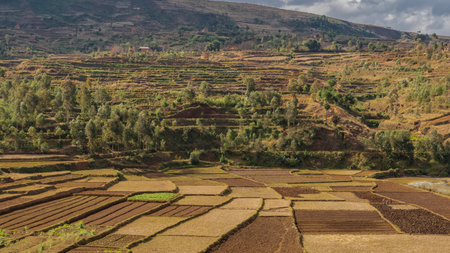 Terraces of cultivated agricultural fields on the hillside. Orange soil. Trees grow nearby. A mountain against the sky and clouds. Madagascar.の写真素材