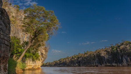 A calm exotic river. Green trees grow on the steep limestone banks. Ripples on the shiny red-brown water. Light clouds in the blue sky. Madagascar. Manambolo Riverの写真素材