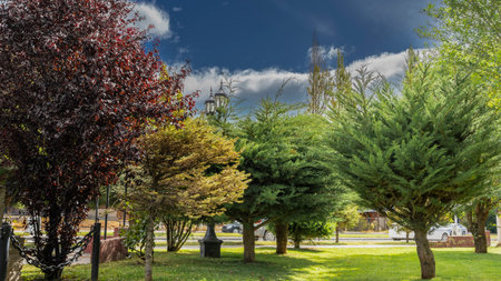 City park in autumn. Coniferous and deciduous trees grow in a row on a green lawn. Reddened leaves...