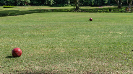 Two bright red balls are laid out on the golf course. The green grass of the law is neatly trimmed. Preparing for the game.の写真素材