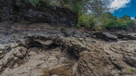 Low tide. The rocky slope of the coastal hill was exposed. Puddles of water on rough stones. Green...