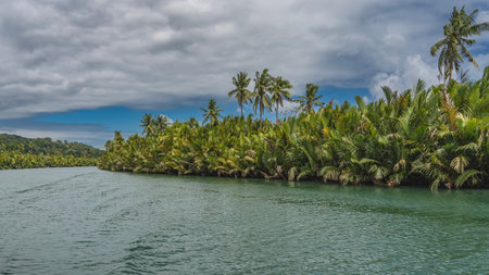 Impenetrable thickets of palm trees grow on the banks of a tropical river. The riverbed bends. Ripples on the turquoise water. Clouds in the blue sky. Philippines. Bohol Island.の写真素材