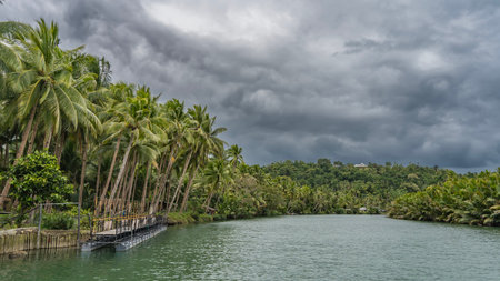 A calm turquoise river in the jungle. There are thickets of lush palm trees on the banks. A pier for ships near the shore. Cloudy. Philippines. bohol. Loboc Riverの写真素材