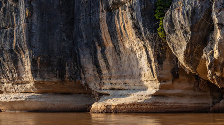 Steep coastal karst cliffs. Limestone sheer slopes rise above the red-brown river. Green plants on the rocks. Close-up. Madagascar. Manambolo river.の写真素材