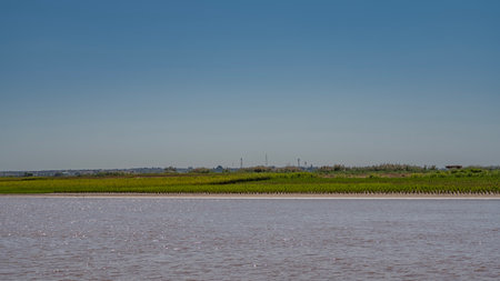 A calm exotic red-brown river. There are thickets of lush green grass on the sandy shore. Hills and towers of power grids against a clear blue sky. Madagascar. Tsiribihina riverの写真素材