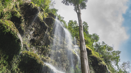 A beautiful tropical waterfall. Thin streams of water flow down from the delicate ledges, forming a veil. The trunk of a tall tree in the foreground. Clouds in the blue sky.の写真素材