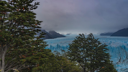 A beautiful blue glacier stretches to the horizon between the mountain slopes. An endless mass of ice with cracks, crevices, sharp peaks. Cloudy. Fog. There are green treesの写真素材