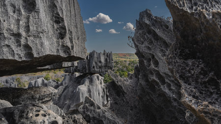 Bizarre karst rocks. Close-up. The texture. Rough gray furrowed slopes, sharp peaks against a...