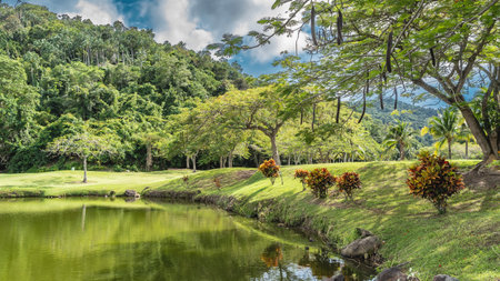 Bushes and sprawling deciduous trees grow on the shores of the calm lake. Green grass on the lawn....