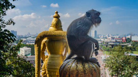 A brooding monkey sits on a golden-colored knob. The paws are folded in his lap. He looks into the distance. Profile view. Nearby is a huge golden statue of the Hindu god Murugan.の写真素材