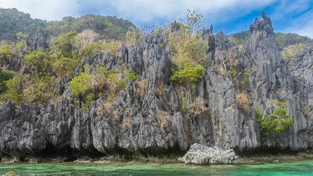 Sheer karst cliffs rise near the ocean shore. Green vegetation on steep furrowed slopes. A boulder in turquoise water. Blue sky, clouds. Philippines. Palawan. Bacuit bayの写真素材