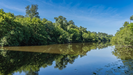 A calm river. There are thickets of green trees on the banks. Light clouds in the blue sky. A mirror reflection on the smooth surface of the water. Leaves of water lilies. Russia.の写真素材