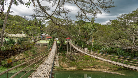 Two rickety Bamboo Hanging Bridges span over a tropical river. You can see the weaving of paths,...