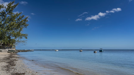 The boats are anchored in a calm ocean. Piles of boulders on a sandy beach by the water. Trees Casuarina cunninghamiana against a background of blue sky and clouds. Mauritius.の写真素材