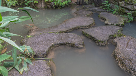 A pedestrian path made of fancy concrete sections runs along the lake. Green vegetation. Close-up....