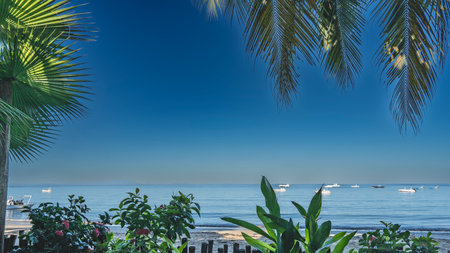 White boats and yachts are anchored in the calm blue ocean. Palm leaves against a clear blue sky. A sandy beach and tropical vegetation in the foreground. Madagascar. Nosy Beの写真素材
