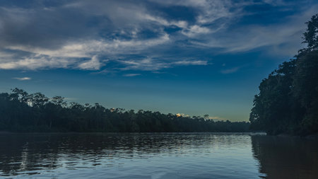 Early morning in a tropical rain forest. The bed of a calm river, ripples, reflection on the surface of the water. Tickets of trees on the banks. Blue sky, clouds. Malaysia.の写真素材