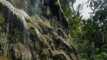A fragment of an unusual tropical waterfall. Thin streams of water flow down the mossy ledges of the rock, forming a veil. Lush green vegetation. Philippines. Cebu. Tumalog Falls.の写真素材
